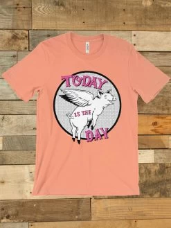 Pigs Fly T Shirt -Southern Fried Chics Blank1536x2048 4 c65db2f0 9215 455b 8192 2a134d5f1227