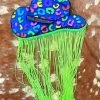 Rainbow Cowgirl Hat With Lime Fringe Freshie -Southern Fried Chics PhotoJun132023 41644PM